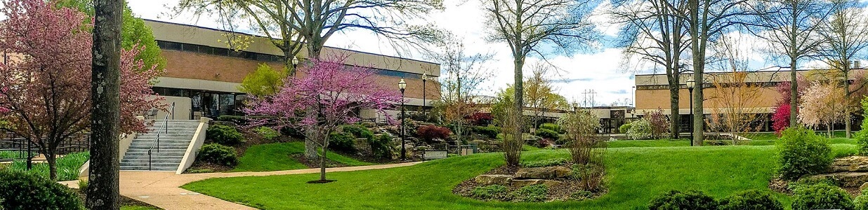 Eminent Education Institute