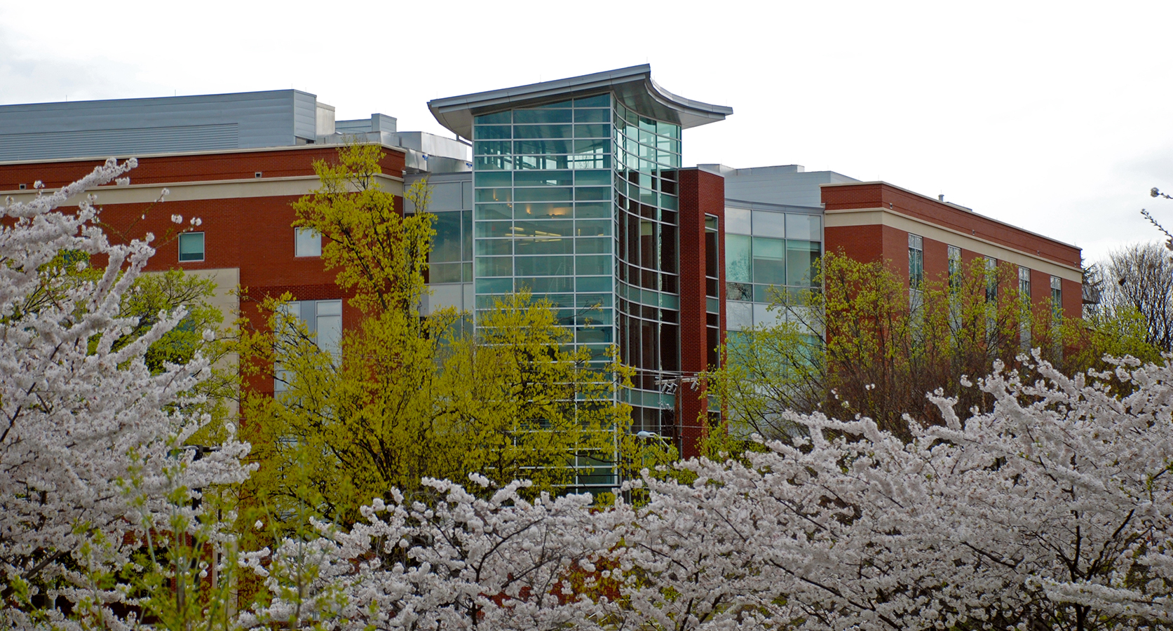 Eminent Education Institute