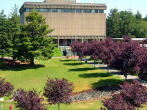 Eminent Education Institute